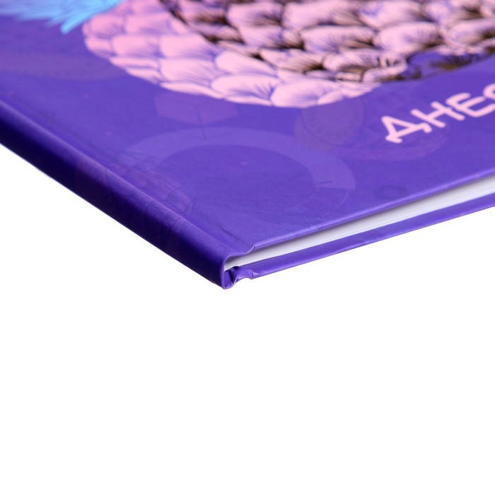 Дневник универсальный для 1-11 классов, "Фруктовое настроение", твердая обложка 7БЦ, матовая ламинация, тиснение фольгой, 40 листов