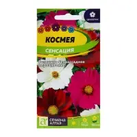 Семена цветов Космея "Сенсация", ц/п,  О, ц/п, 0,5 г