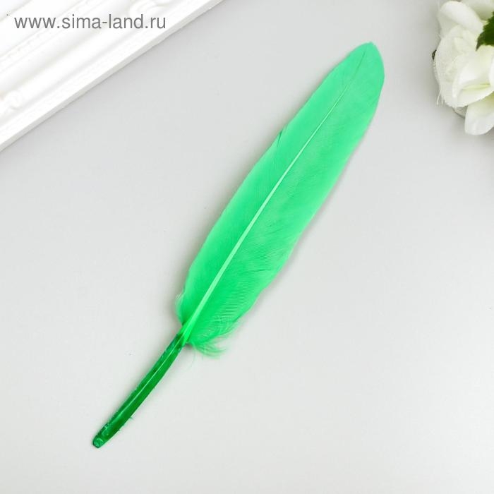 Перья декоративные прямые, 10-15 см (набор 24 шт) 6 цветов, яркие, ассорти