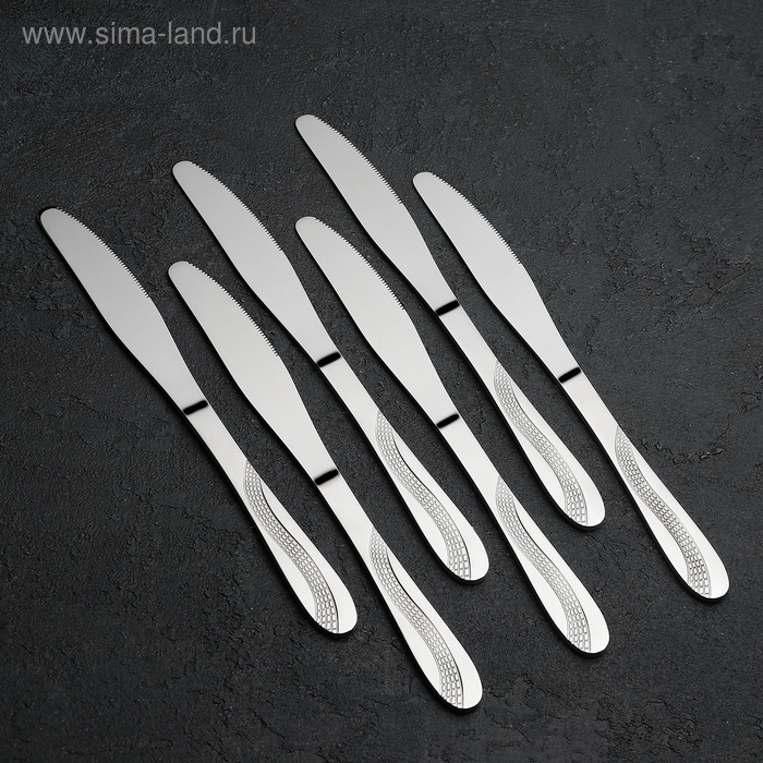 Набор столовых приборов из нержавеющей стали &laquo;Водопад&raquo;, 24 предмета, на подставке, цвет серебряный