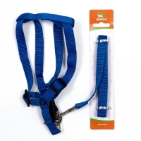 Комплект &laquo;Базис&raquo;, поводок 120&times;1.5 см, шлейка 32-46&times;1.5 см, синий