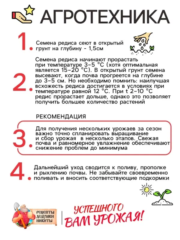 Семена Редис "Саксон", 1,5 г