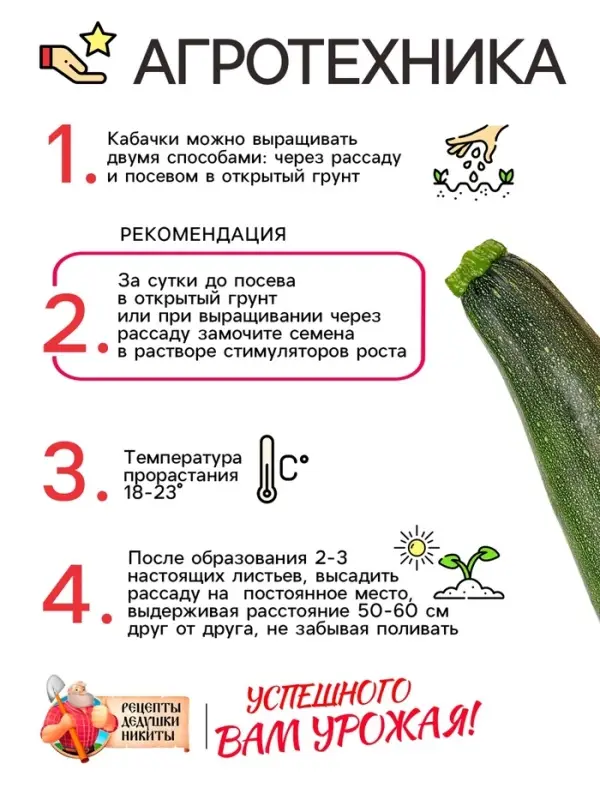 Семена Кабачок цуккини "Фараон", 1 г