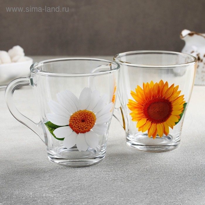 Кружка стеклянная &laquo;Коллекция цветов&raquo;, 250 мл, рисунок МИКС