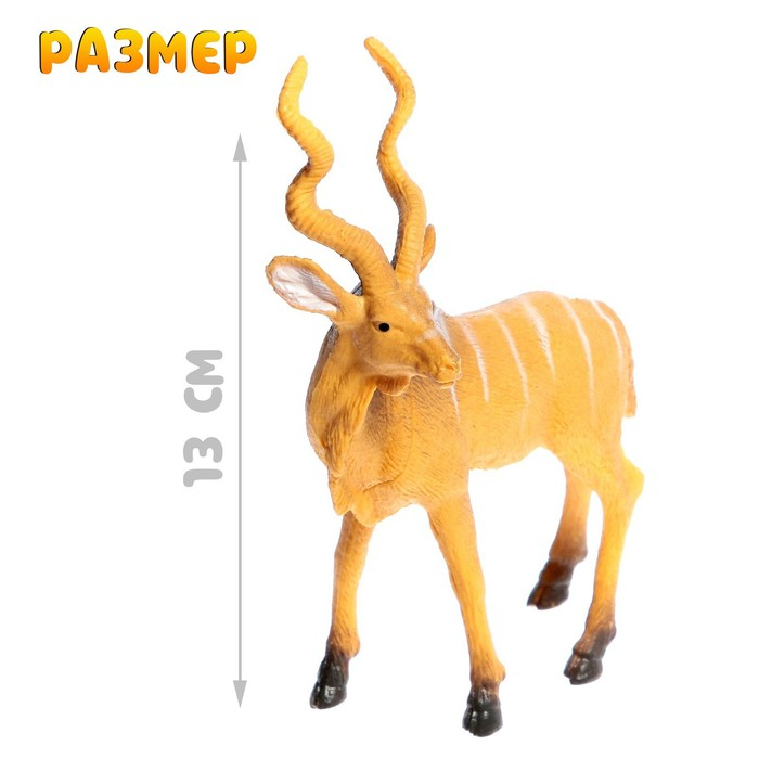 Набор животных &laquo;Лесные звери&raquo;, 6 фигурок