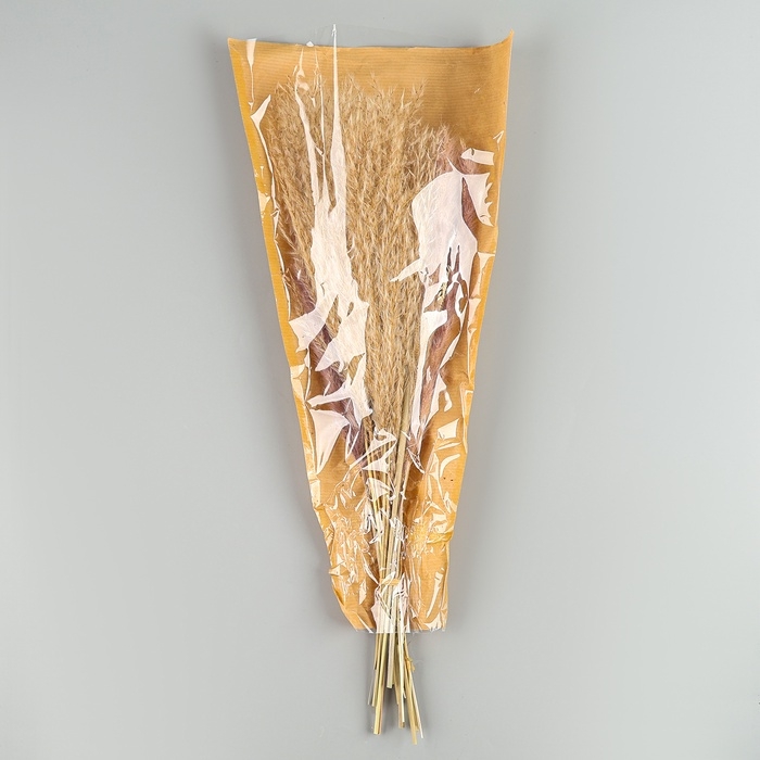 Сухоцветы &laquo;Лагурус&raquo;, набор из 3 видов, 48 &times; 16 &times; 6 см