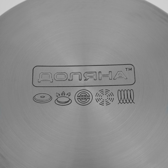 Кастрюля из нержавеющей стали Доляна &laquo;Гретте&raquo;, 4,2 л, d=22 см, с крышкой, капсульное дно, индукция