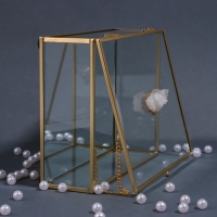 Органайзер для хранения &laquo;MOUNTAINS&raquo;, с крышкой, стеклянный, с зеркальным дном, 1 секция, 20 &times; 16 &times; 6,5 см, цвет прозрачный/медный