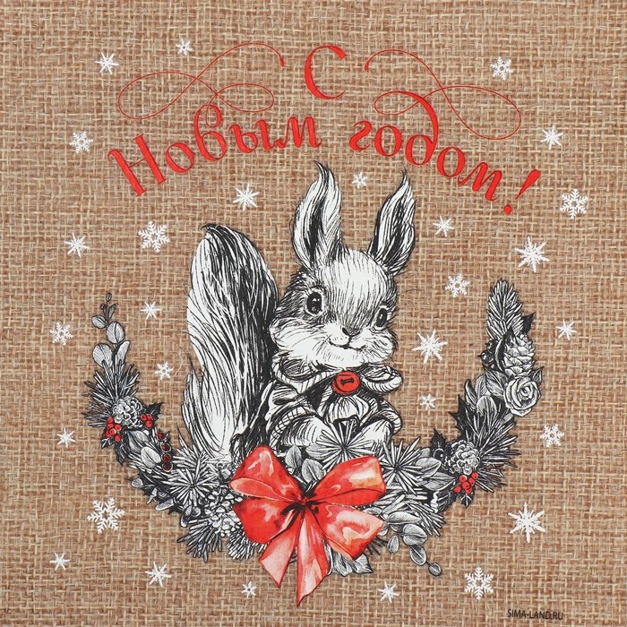 Мешок с термонаклейкой &laquo;Белочка&raquo;, 16 х 24 см +/- 1.5 см, Новый год