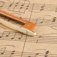 Смычок для скрипки Music Life 1/2