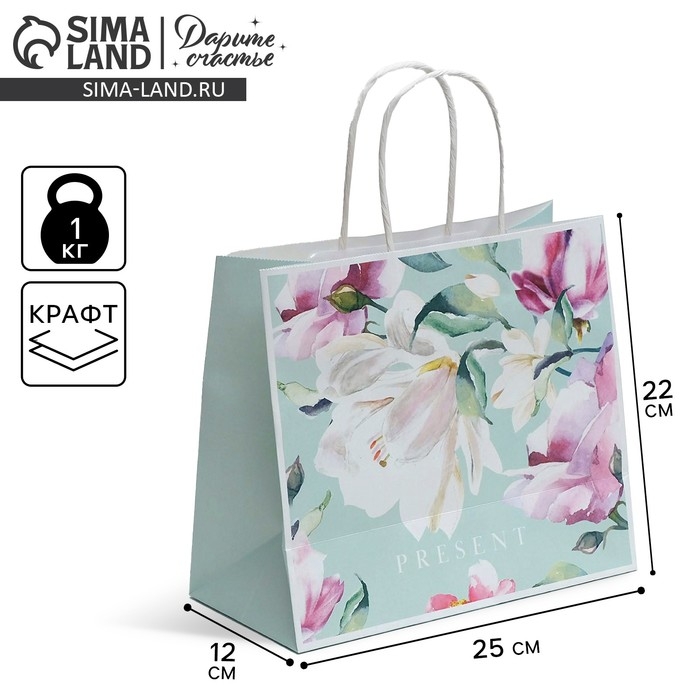 Пакет подарочный крафтовый, упаковка, &laquo;Present&raquo;, 25 х 22 х 12 см