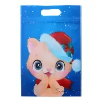 Пакет подарочный, с zip-lock застежкой, "Зимние котята", 15х22см.