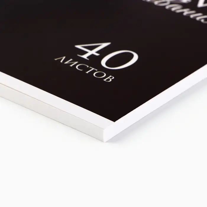 Альбом для рисования 40 листов на склейке А4 &laquo;Лев&raquo;