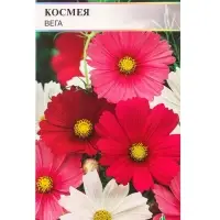 Семена Космея "Вега" 0,5 г