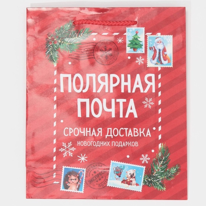 Пакет подарочный новогодний ламинированный &laquo;Полярная почта&raquo;, ML 21 х 25 х 8 см