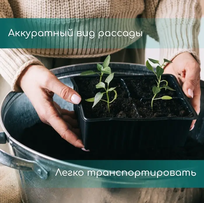 Кассета для рассады Greengo на 10 ячеек, по 100 мл, пластиковая, чёрная, 25&times;14&times;5 см