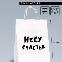 Пакет подарочный &laquo;Несу счастье &raquo;, 24&times;14&times;28 см