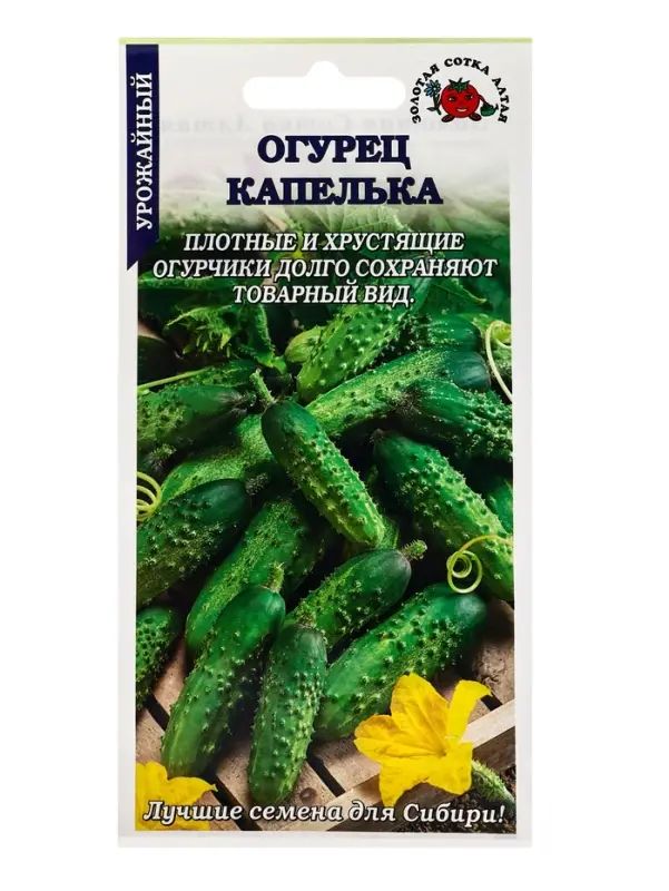 Семена Тыква Капелька (мини-овощи) /Сотка/ 0,5 г / 0,8-1,3, кг /*600