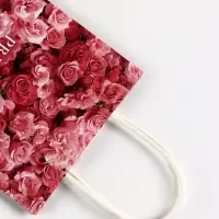 Пакет подарочный крафт Present, 15&times;8&times;21 см