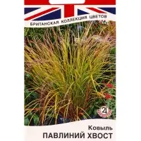 Семена цветов Ковыль Павлиний хвост Мн Британская коллекция цветов, Ц/П,5 шт.