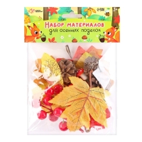 Набор для творчества &laquo;Материалы для осенних поделок. Листья, шишки&raquo;
