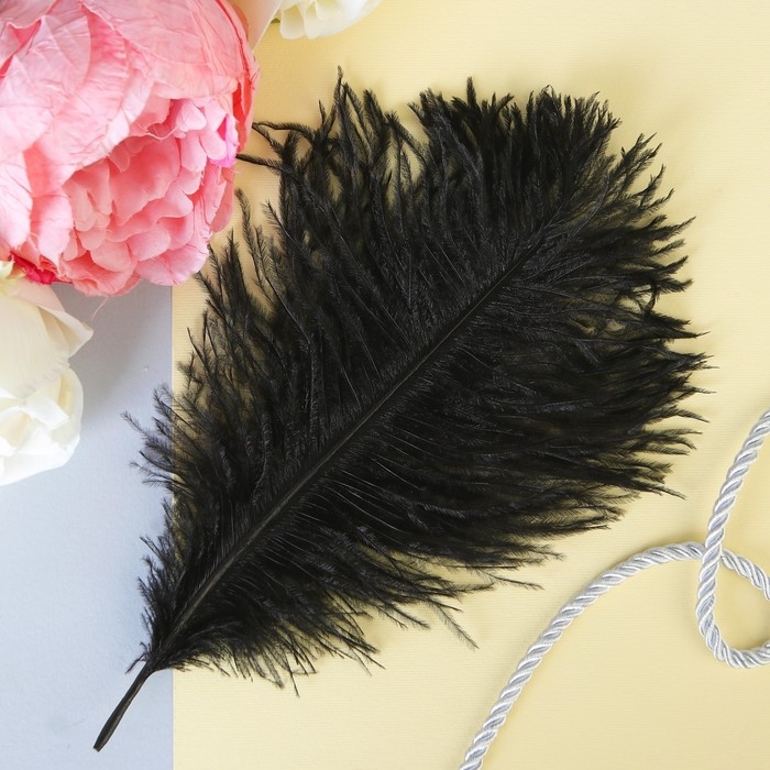 Перо для декора 1 шт., размер &mdash; 20,5 &times; 7,5 см, цвет чёрный