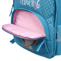 Рюкзак школьный Bruno Visconti "Ёжик", 40 х 30 х 19 см, эргономичная спинка, пенал в подарок