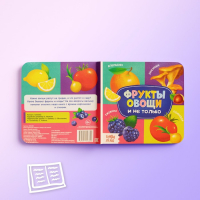 Книги картонные набор &laquo;Знакомимся с окружающим миром&raquo;, 4 шт. по 10 стр.