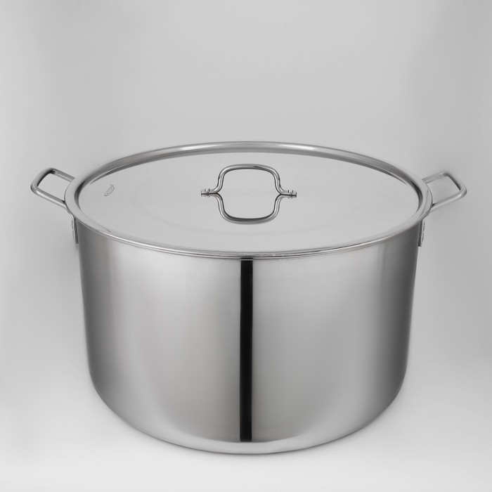 Котёл &laquo;Общепит&raquo;, 50 л, d=50 см, h=26 см, индукция