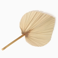 Сухие цветы &laquo;Лист пальмовый&raquo;, 50 &times; 25 &times; 2 см