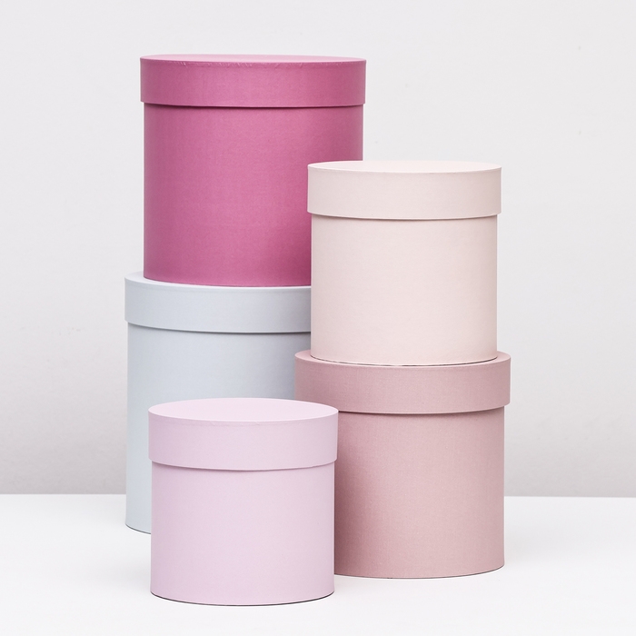 Набор шляпных коробок 5 в 1 Набор шляпных коробок 5 в 1" Нежность" , 23 х23 - 15 х 15 см