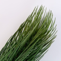 Новый год! Литая веточка, зелёная, набор 1 шт.