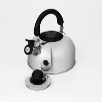 Чайник со свистком из нержавеющей стали Доляна &laquo;Чёрная ночь&raquo;, 2 л, индукция, цвет хромированный