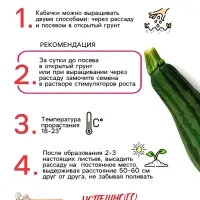 Семена Кабачок цукини "Зебра", 2 г