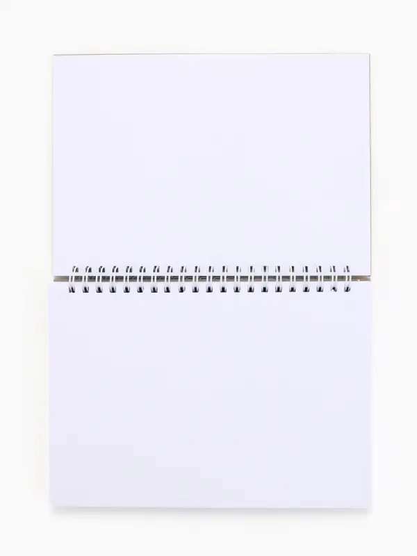 Скетчбук &laquo;Капибары&raquo; А5, 80 л., твердая обложка