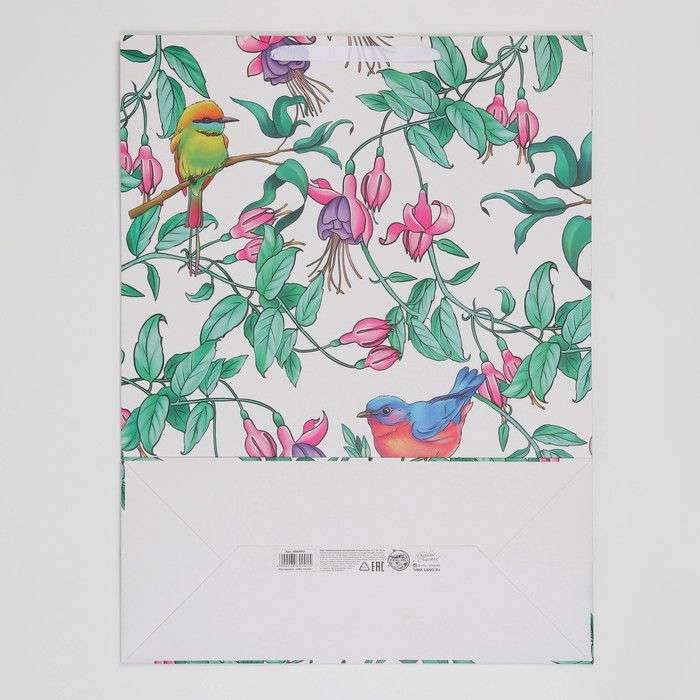 Пакет подарочный ламинированный вертикальный, упаковка, &laquo;Present for you&raquo;, 61 х 46 х 20 см