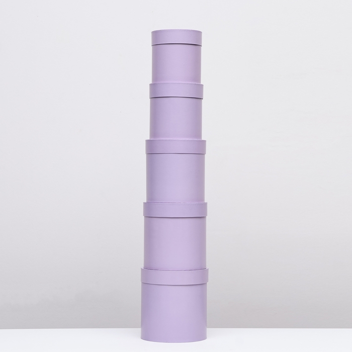 Набор круглых коробок 5в1 Сирень перламутровая", 20 &times; 20 ‒15 &times; 15 см