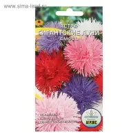 Семена цветов однолетние Астра Гигантские лучи Смесь 0,2