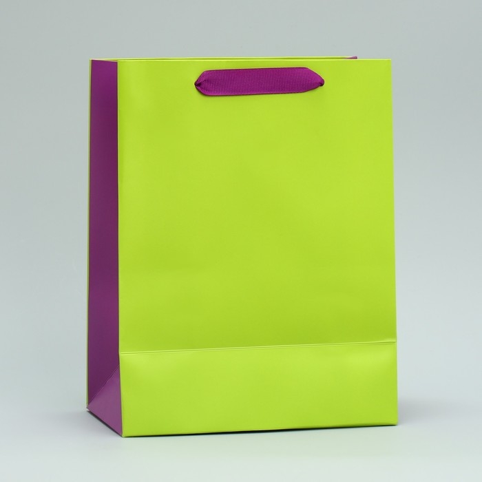 Пакет подарочный двухцветный, упаковка, &laquo;Салатовый-сиреневый&raquo;, MS 18 х 23 х 10 см
