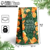Пакет без ручек &laquo;Мечты обязательно сбудутся&raquo;, мандарины, 10 х 19.5 х 7 см, Новый год