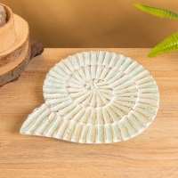 Набор сувенирный &laquo;Ракушки&raquo;, 30 см, 22 см, 17 см, дерево, бирюзовый