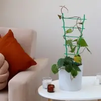 Шпалера, 47&times;19&times;0.5 см, пластик, зелёная