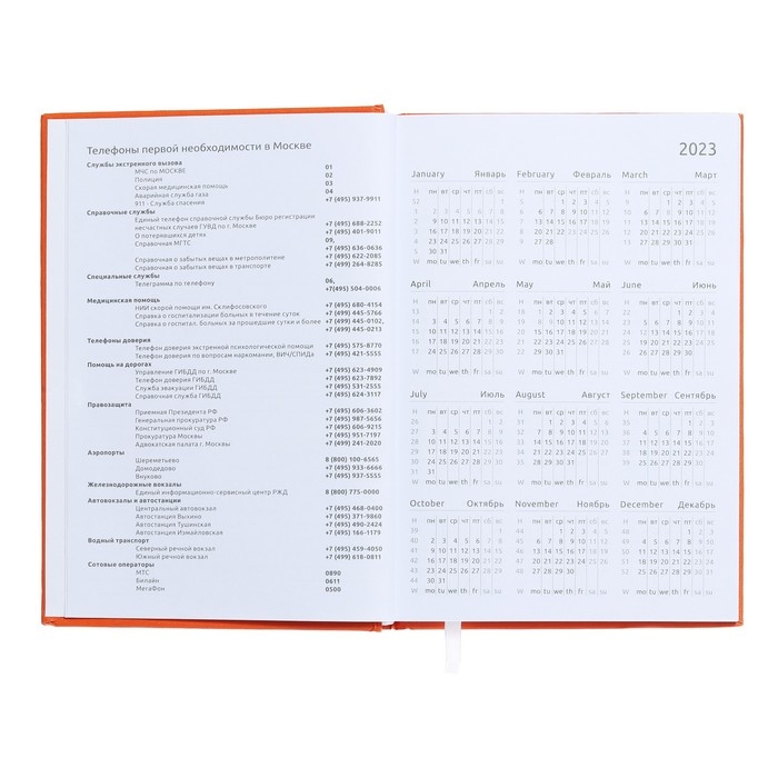 Ежедневник датированный 2024 года, А5, 176 листов, Attomex.Even, обложка бумвинил, ляссе, блок 70 г/м2, оранжевый