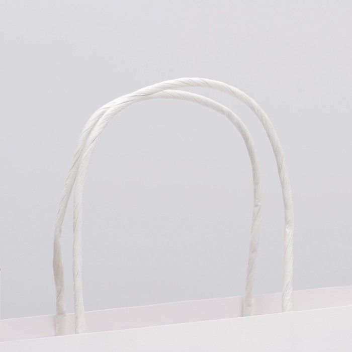 Пакет подарочный, упаковка, &laquo;Рыцарю&raquo;, 22 х 22 х 11 см