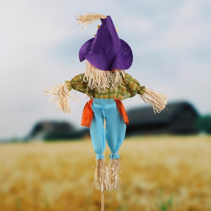 Огородное пугало &laquo;Тыква&raquo;, h = 80 см, МИКС, Greengo