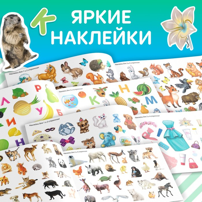 100 наклеек набор &laquo;Развивающие&raquo;, 4 шт. по 12 стр.