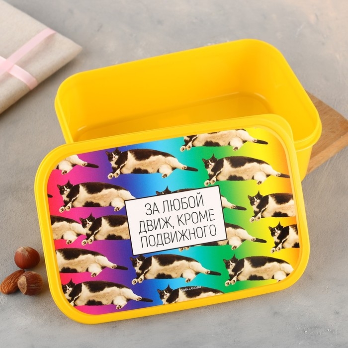 Ланч-бокс прямоугольный &laquo;За любой движ, кроме подвижного&raquo;, 1200 мл