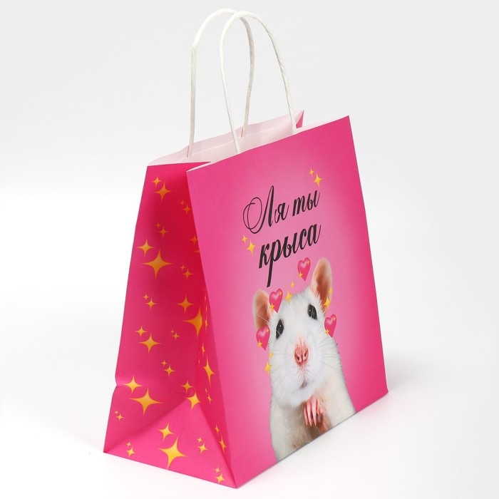 Пакет подарочный, упаковка, &laquo;Ля ты&raquo;, 22 х 22 х 11 см
