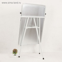 Флипчарт-магнитно-маркерная доска, регулируется по высоте, размер доски &mdash; 60 &times; 90 см