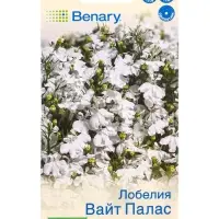 Семена цветов Лобелия Вайт палас кустовая  (драже в пробирке) Спецсерия Benary, Ц/П,5 шт.